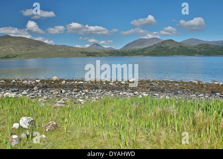 Vue prise le long du littoral @ Loch Spelve, Isle of Mull avec Ben plus dans l'arrière-plan lointain. Banque D'Images