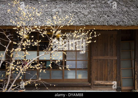 Maison traditionnelle japonaise dans la campagne japonaise avec arbre en face Banque D'Images