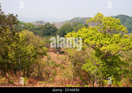 Le souffle de l'océan d'arbres lookout près de Sen Monorom, province de Mondulkiri, nord-est du Cambodge Banque D'Images