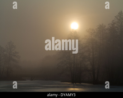 Misty le lever du soleil sur l'étang paisible à Bialowieza Palace Park et pont en bois en arrière-plan Banque D'Images