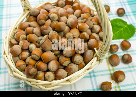 Les noisettes dans un panier en osier sur la table. Les écrous et aléatoire feuille verte. Banque D'Images