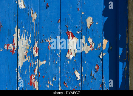 L'écaillage de la peinture sur porte en bois. Bleu, Rouge. Banque D'Images