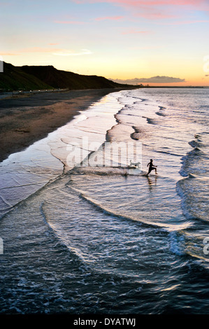 Garçon et le chien s'amusant dans la mer au crépuscule, Sawai madhopur, Redcar and Cleveland, UK Banque D'Images