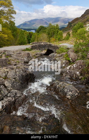 La vue depuis Ashness Bridge vers Derwent Water et au-delà vers la chaîne de Skiddaw. Banque D'Images