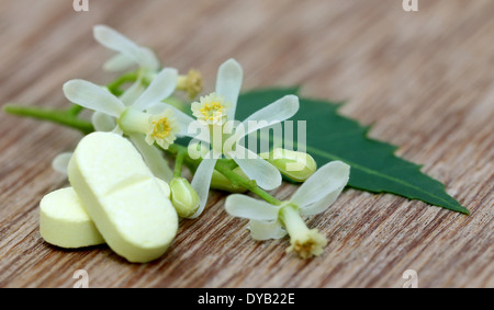 Comprimés à base de feuilles de neem et des fleurs médicinales Banque D'Images