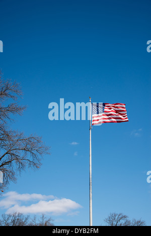 United States Flag, mât,vertical, ciel bleu encadré par des branches d'arbre Banque D'Images