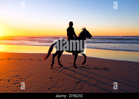 L'équitation sur la plage au coucher du soleil Banque D'Images