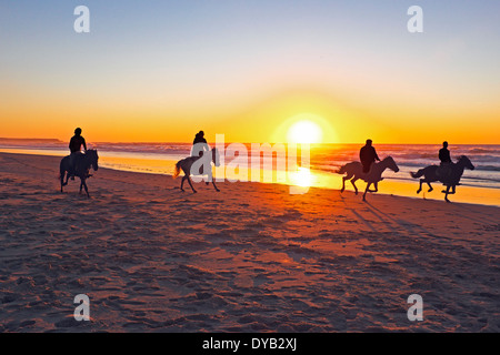 L'équitation sur la plage au coucher du soleil Banque D'Images