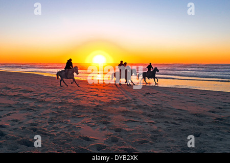 L'équitation sur la plage au coucher du soleil Banque D'Images