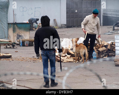 Lugansk, Ukraine. 12 avr, 2014. des militants pro-russes, Playing with dog près du bureau régional de l'Ukrainien de la sécurité publique à Paris Crédit : Igor Golovnov/Alamy Live News Banque D'Images