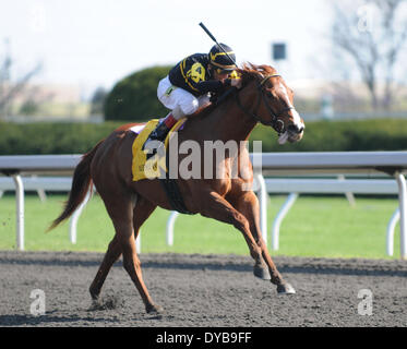 Lexington, Kentucky, USA. Apr 12, 2014. Avril 12, 2014 : Judy la beauté et jockey John Velazquez gagner le G1 Madison S. à Keeneland pour propriétaire et entraîneur Wesley Ward.Jessica Morgan/ESW/CSM/Alamy Live News Banque D'Images