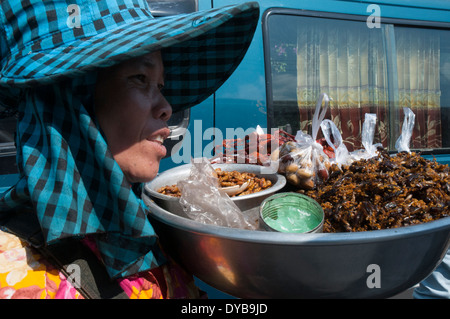 Snack-routière provinciale du vendeur en Cambodge Banque D'Images