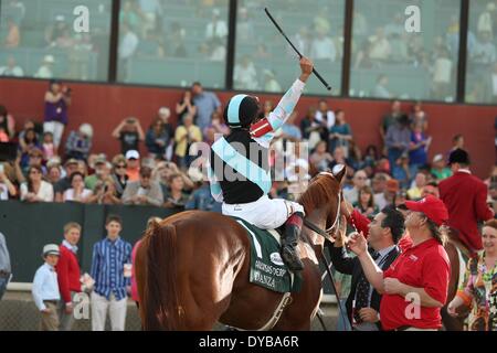 Hot Springs, AR, États-Unis d'Amérique. Apr 12, 2014. 12 avril 2014 : # 1 Danza avec jockey Joe Bravo célébrer après avoir remporté le Kentucky Derby à Oaklawn Park à Hot Springs, AR. Justin Manning/ESW/CSM/Alamy Live News Banque D'Images