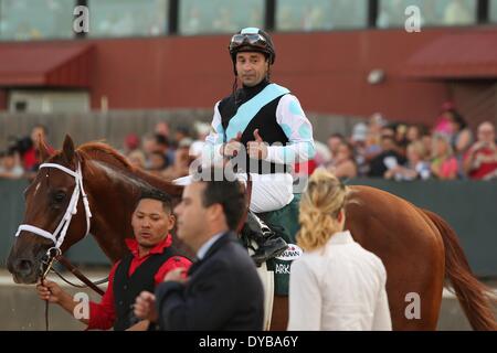 Hot Springs, AR, États-Unis d'Amérique. Apr 12, 2014. 12 avril 2014 : # 1 Danza avec jockey Joe Bravo giving Thumbs up après avoir remporté le Kentucky Derby à Oaklawn Park à Hot Springs, AR. Justin Manning/ESW/CSM/Alamy Live News Banque D'Images