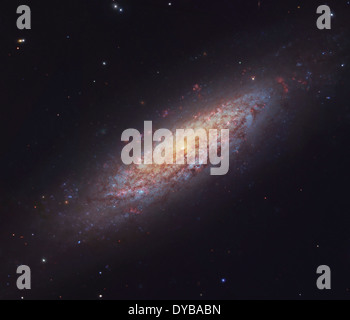 NGC 6503, galaxie spirale située dans la constellation de Draco. Banque D'Images