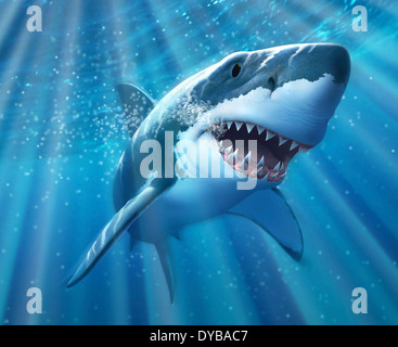 Un grand requin blanc avec du soleil juste sous la surface. Banque D'Images