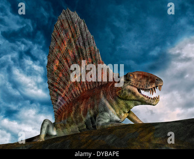 Dimetrodon était un genre éteint d'synapsid qui a vécu pendant le début du permien, autour de 295-272 millions d'années. Banque D'Images