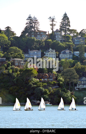 Junior sailors défilé Belvedere Island dans le comté de Marin Banque D'Images