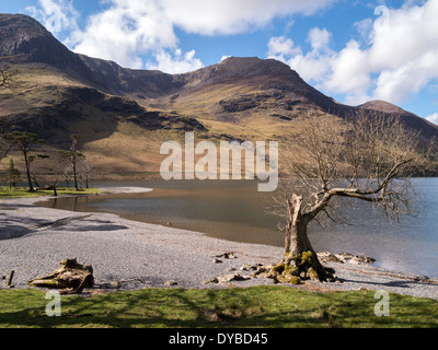 Rivage du lac Buttermere avec chaîne de montagnes de High Crag, High Stile, Grey Crags et Burtness Comb Corrie ci-dessous, Cumbria, Royaume-Uni Banque D'Images