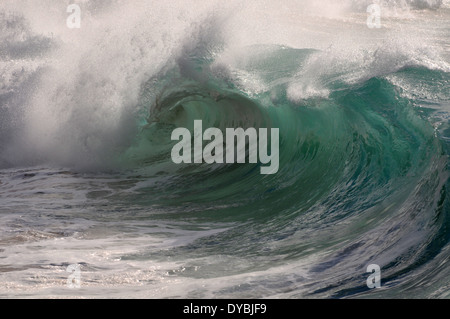 Vagues géantes que Waimea Bay Beach, North Shore, Oahu, Hawaii, USA Banque D'Images