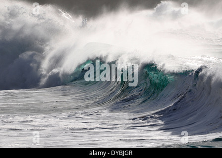 Vagues géantes que Waimea Bay Beach, North Shore, Oahu, Hawaii, USA Banque D'Images