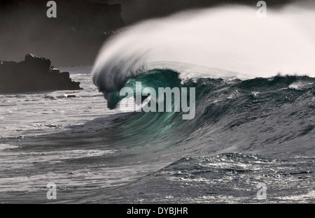 Vagues géantes que Waimea Bay Beach, North Shore, Oahu, Hawaii, USA Banque D'Images