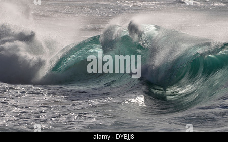 Vagues géantes que Waimea Bay Beach, North Shore, Oahu, Hawaii, USA Banque D'Images