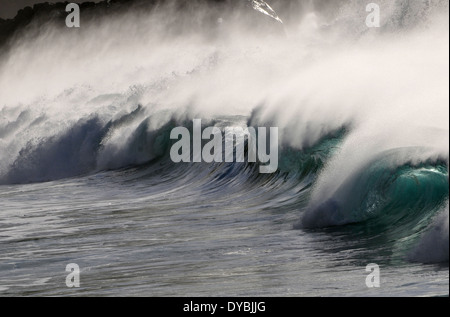 Vagues géantes que Waimea Bay Beach, North Shore, Oahu, Hawaii, USA Banque D'Images