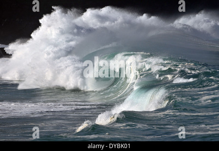 Vagues géantes que Waimea Bay Beach, North Shore, Oahu, Hawaii, USA Banque D'Images