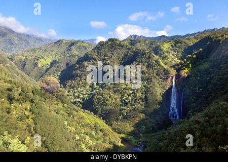 Superbe paysage forêt verte dans le centre de Kauai, Hawaii. Vue aérienne de l'hélicoptère. Banque D'Images