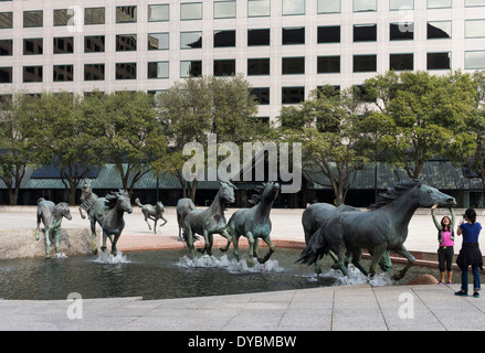 La 'Mbronze ustangs de Las Colinas' dans Williams square Irving, Texas Banque D'Images