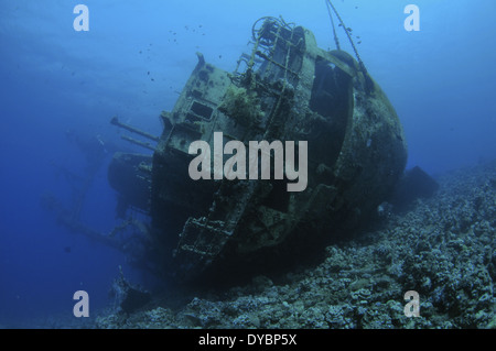 Épave du Cedar Pride, golfe d'Aqaba, Mer Rouge, Jordanie Banque D'Images