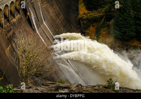 Loch Laggan Barrage, Ecosse Banque D'Images