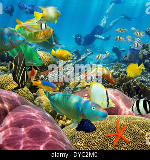 L'homme nage sous-marine dans un récif de corail colorés de poissons tropicaux Banque D'Images