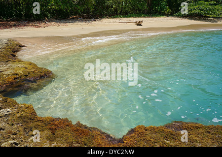 Plage tropicale avec piscine naturelle dans la mer des Caraïbes, playa Chiquita, Puerto Viejo de Talamanca, Costa Rica Banque D'Images