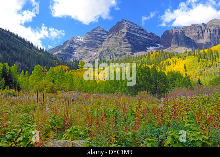 Automne feuillage de peuplier faux-tremble, Maroon Bells, Montagnes Rocheuses du Colorado Banque D'Images