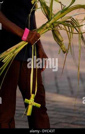 Santo Domingo, République dominicaine. 13 avr, 2014. Une personne détient une succursale de palm lors de la célébration du Dimanche à Palm la ville de Santo Domingo, capitale de la République dominicaine, le 13 avril 2014. Le dimanche des Rameaux marque le début de la Semaine Sainte dans le calendrier catholique romain. Credit : Roberto Guzman/Xinhua/Alamy Live News Banque D'Images