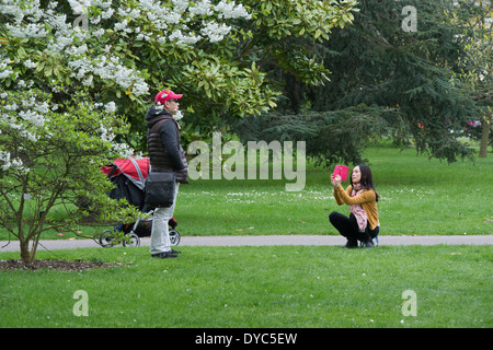 Tourisme asiatique prend une photo sur un téléphone intelligent d'un parent contre cherry tree Blossom. Kew Gardens. Londres, Angleterre Banque D'Images