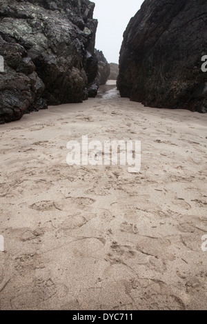 Footprints, paysage plage Banque D'Images