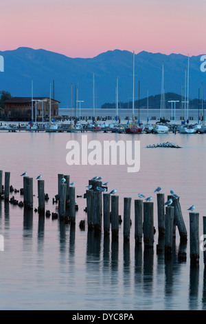 Les Jetées et quais du lac Flathead au Montana dans au coucher du soleil. Dayton, Montana. USA Banque D'Images