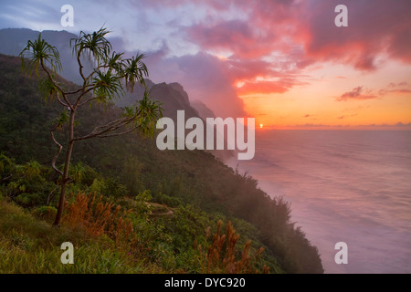 Une vue de la Kalalau Trail le long de la côte Napali à Kaua'i, Hawaii, USA. L'hiver. Banque D'Images