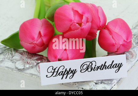 Joyeux anniversaire carte avec des tulipes roses Banque D'Images