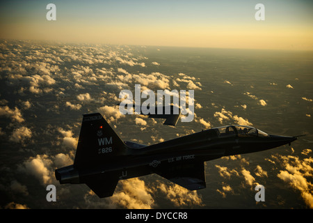 Un T-38 talon et un B-2 Spirit de l'US Air Force volent en formation lors d'une mission d'entraînement au-dessus de la base aérienne Whiteman dans le Missouri le 20 février 2014. Le B-2 Spirit est un bombardier stratégique capable de frappes conventionnelles et nucléaires. Banque D'Images