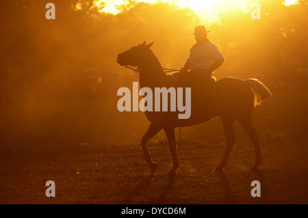 Fiesta de la Tradicion, San Antonio de Areco, Provincia de Buenos Aires, Argentine Banque D'Images