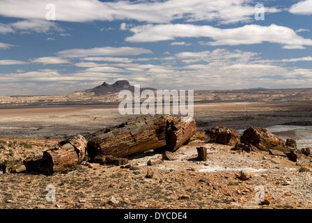 Forêt Pétrifiée, Monumento Nacional Bosques Petrificados, Patagonie, Province de Santa Cruz, Argentine Banque D'Images