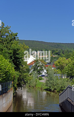 Europe Allemagne Rhénanie-palatinat Neustadt an der Weinstrasse wine route Neustadt Wallgasse Speyerbach montagnes arbres fleurs Banque D'Images