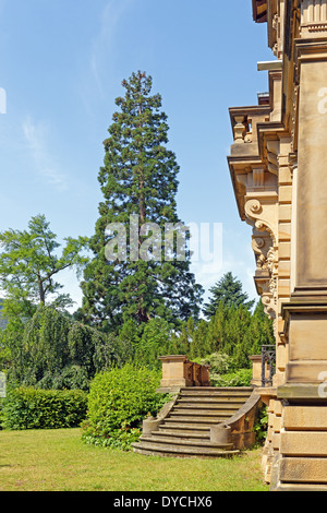 Europe Allemagne Rhénanie-palatinat Neustadt an der Weinstrasse wine route Neustadt park villa Villa Böhm arbre architecture Böhm Banque D'Images