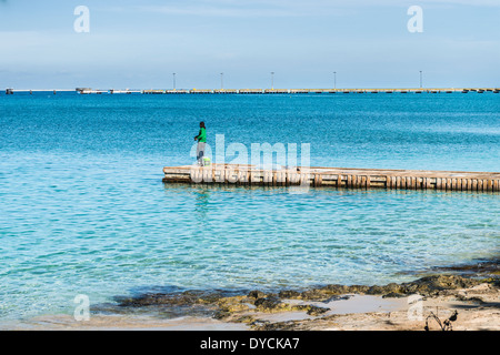 Une île natale poissons homme sur un quai en saillie dans les Caraïbes près de Frederiksted, îles Vierges américaines. USVI, U.S.V.I. Banque D'Images