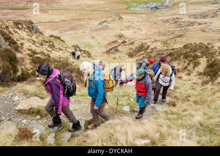 Groupe de Randonneurs marchant dans un line-up de MCG Ogwen Valley Tryfan, Parc National de Snowdonia, Conwy, Nord du Pays de Galles, Royaume-Uni, Angleterre Banque D'Images