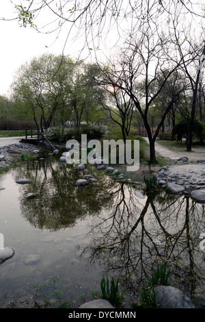 Arbres se reflétant sur un étang, Séoul, Corée du Sud. Banque D'Images